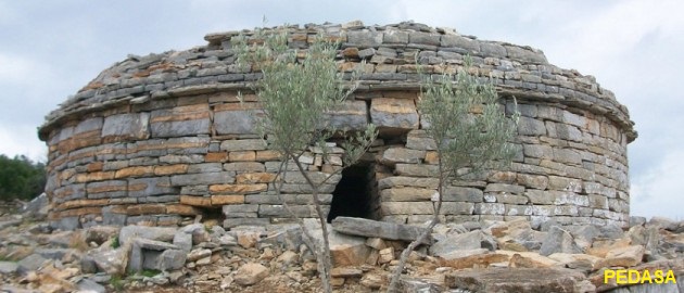 pedasa-1