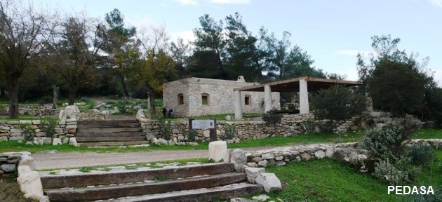pedasa